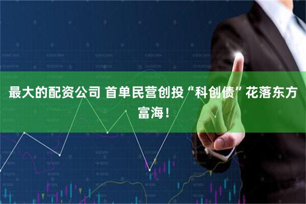 最大的配资公司 首单民营创投“科创债”花落东方富海！
